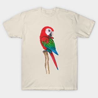 Green wing macaw T-Shirt